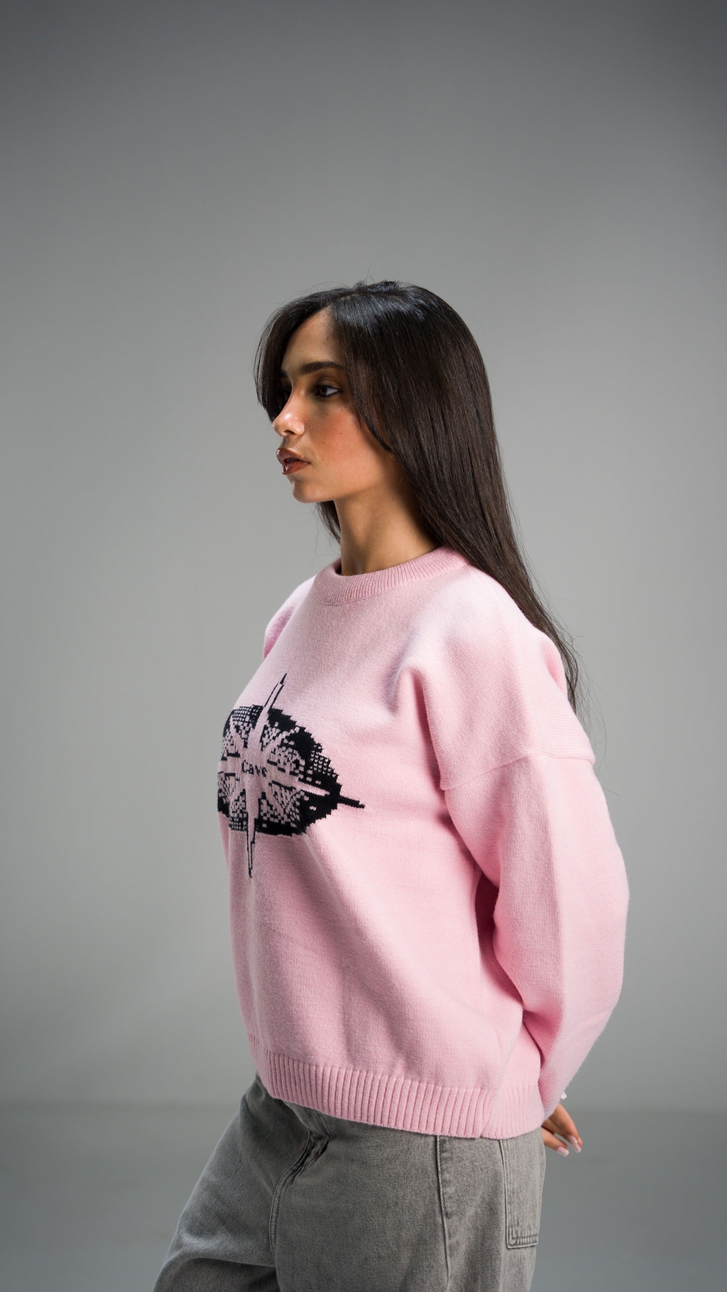 Pixels Knit pink Sweater